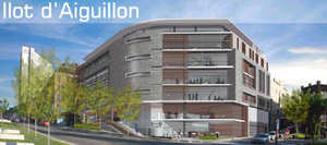 www.ledaiguillon.com.