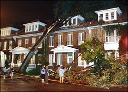 Un arbre entier s�est �cras� sur une maison, � l�angle du boulevard Ren�-L�vesque et de la rue Brown. Photo: Laetitia Deconink, Le Soleil.