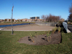 Phase VI de la rivière Saint-Charles. Photo 9: vue en direction N. Photo: Jean Cazes, 2 novembre 2007