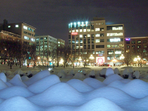 Jardin de Saint-Roch, vue en direction O. Crédit photo: Jean Cazes, 14 décembre 2007.