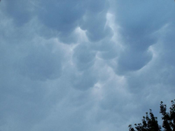 Grand format 800X600, mammatus. Photo: Jean Cazes, 4 ao�t 2006, 19h04.