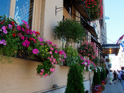 Façade du Clarendon. Photo: Jean Cazes, 17 août 2006.