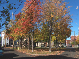 Grand format 800X600. Petit parc récemment aménagé et ruelle à l'arrière d'une coopérative d'habitation sise sur De La Canardière (Limoilou). Photo: Jean Cazes, 6 octobre 2006.