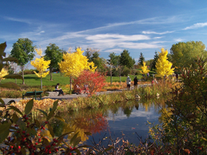 Grand format 800X600. Photo 7: domaine Maizerets (section Arboretum). Photo: Jean Cazes, 9 octobre 2006.