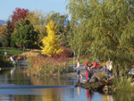 Grand format 800X600. Photo 5: Domaine Maizerets (section Arboretum).