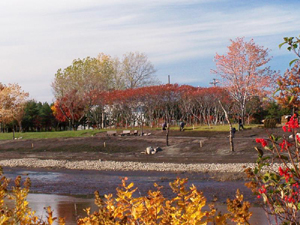 Grand format 800X600, vue en direction NO, à l'ouest du pont Dorchester. Photo: Jean Cazes, 27 octobre 2006.