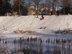 Un apr�s-midi d'hiver au parc Cartier-Br�beuf. Photo: Jean Cazes, 30 d�cembre 2006.