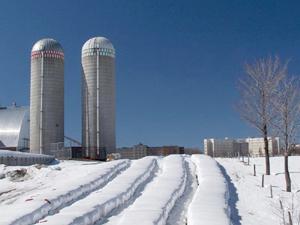 Grand format 800 X 600, Ferme SMA, vue en direction NO � partir de la rue Loyola. Photo: Jean Cazes, 30 mars 2007.