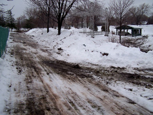 Secteur ouest du parc Cartier-Brébeuf. Crédit photo: Jean Cazes, 30 janvier 2008.