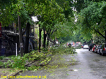 10e Rue. Photo: Jean Cazes, 10 juin 2008.