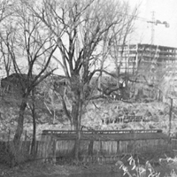 Rive gauche en aval du pont Scott (1967)